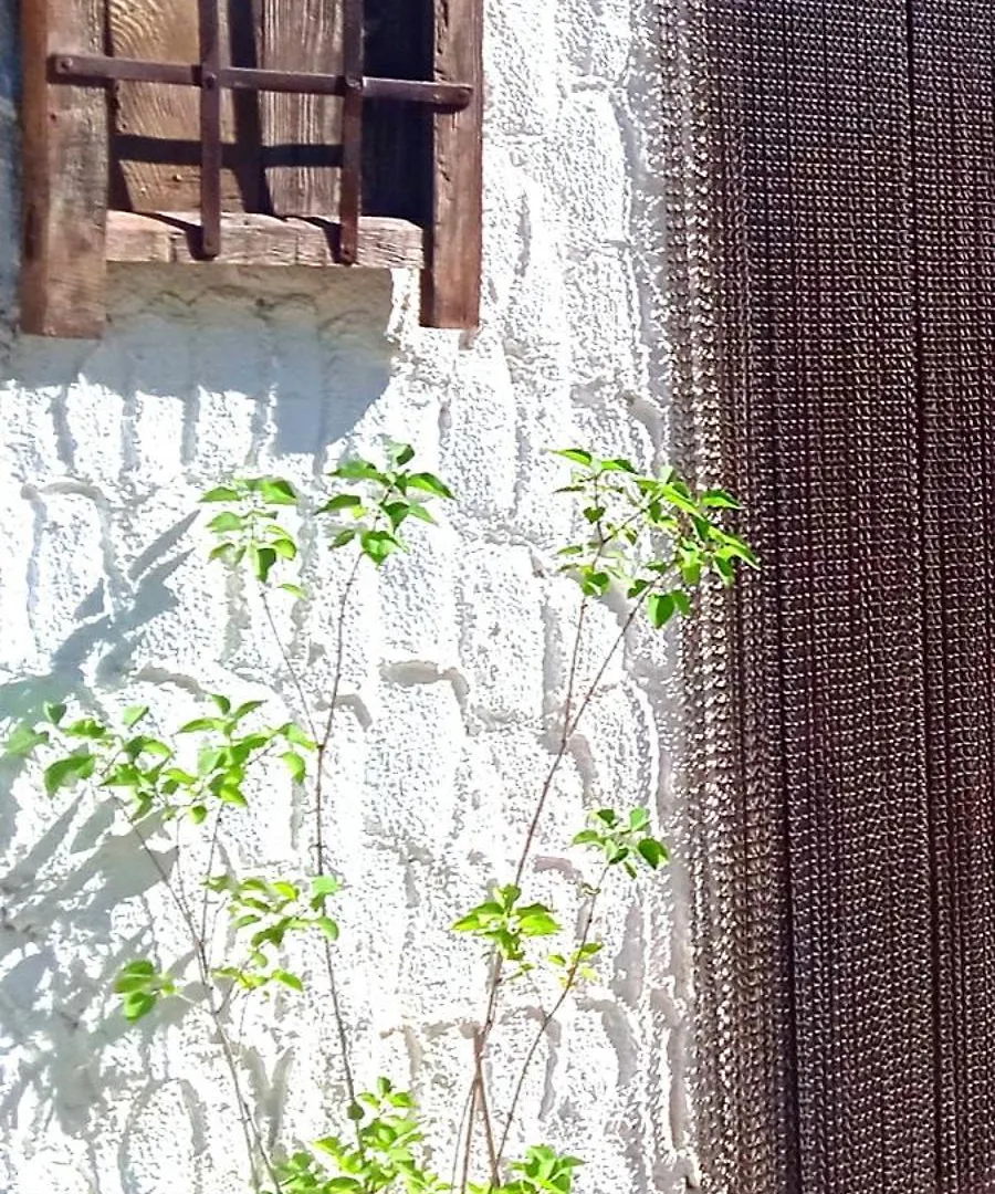 Casa Juanillo Villa Miller Holiday home